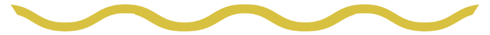 Ligne logo Mairie Paillet