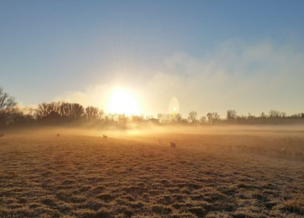 Ile de Raymond 4 Ile de Raymond 4